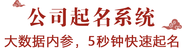 公司起名系统